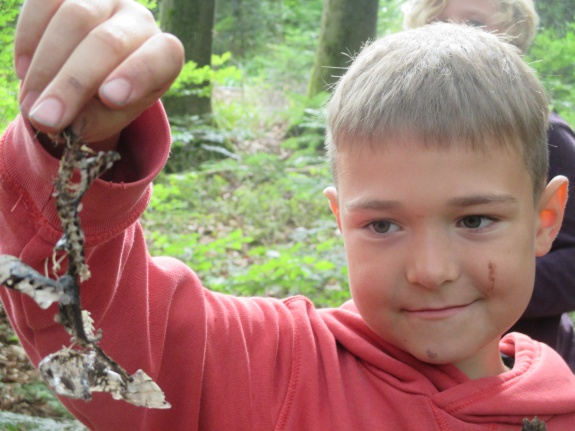 WildnisCamp beim Spielhof