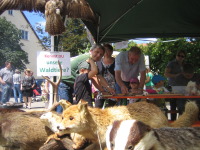 Naturparkmarkt in Waldenburg