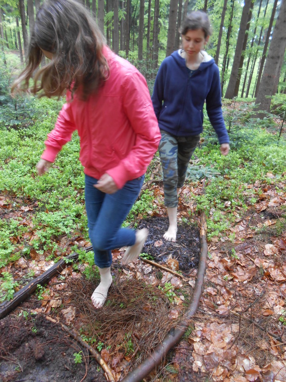 Wald und Gesundheit im NEC